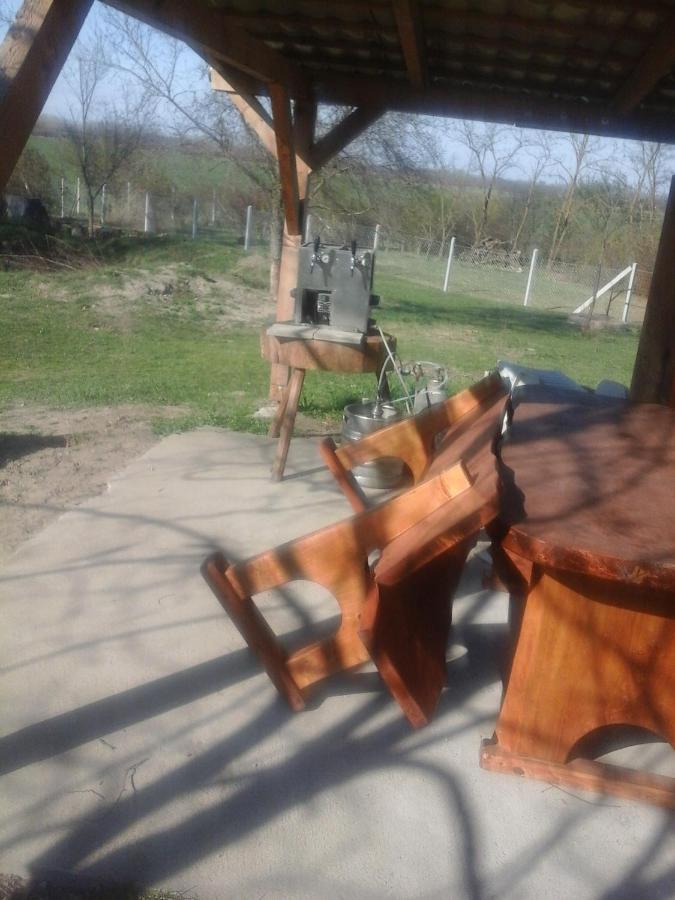 Dutch Farm In Felsolajos Apartment Bagian luar foto